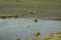 
DSC00238